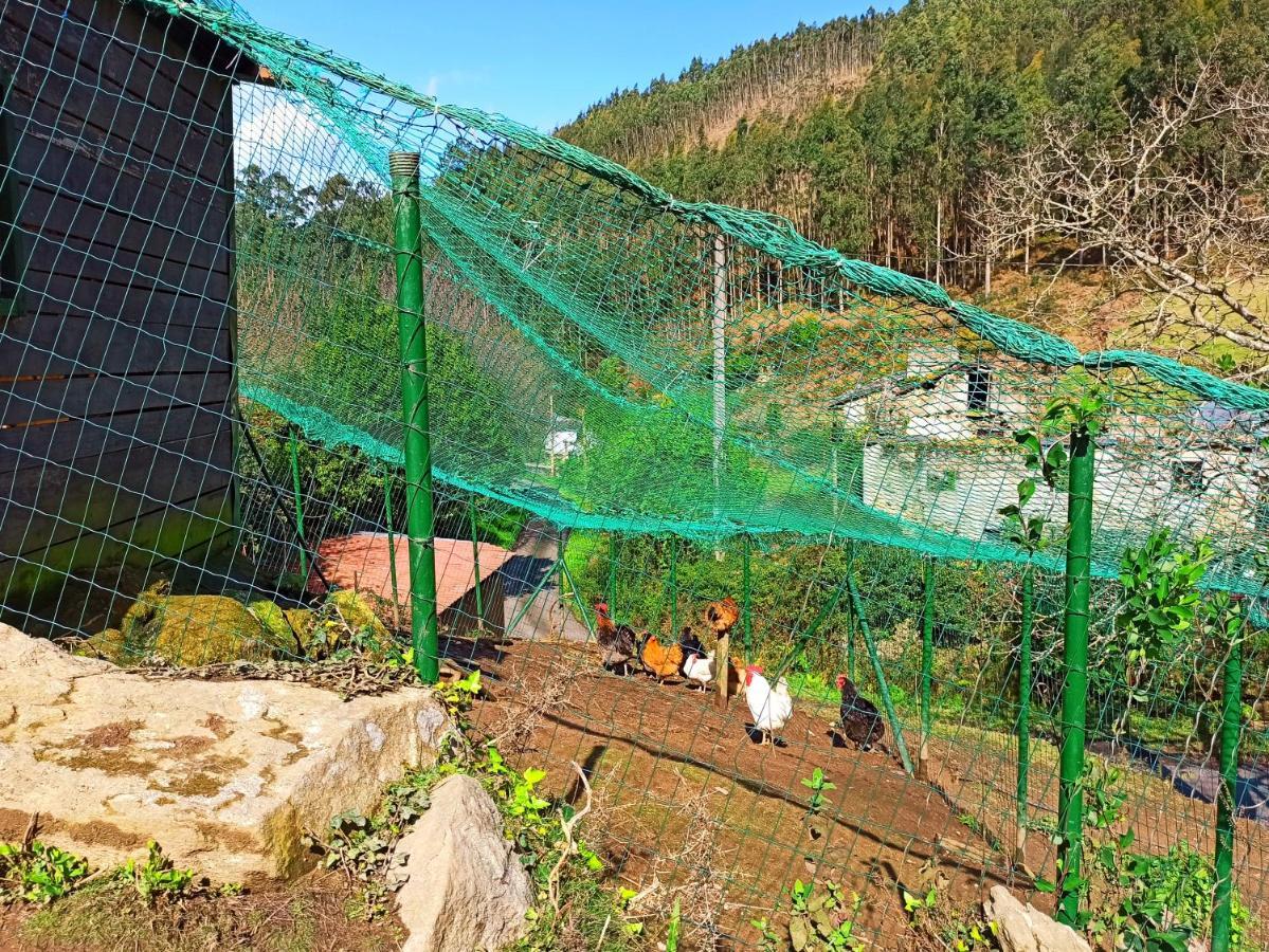 Casa Carmelo Villa Viveiro Luaran gambar